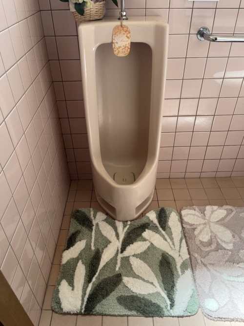 (内装)